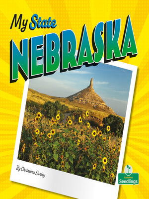 cover image of Nebraska